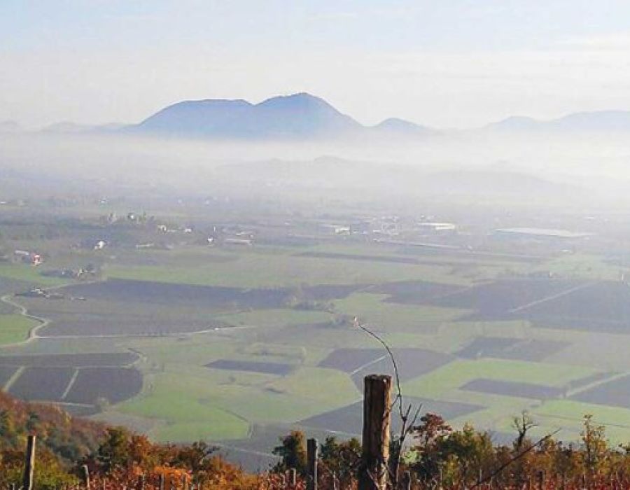 Focus Basso Vicentino – Situazione difficile: serve un cambio di passo. Poncato: «Lavoriamo per affrontare le nuove sfide»