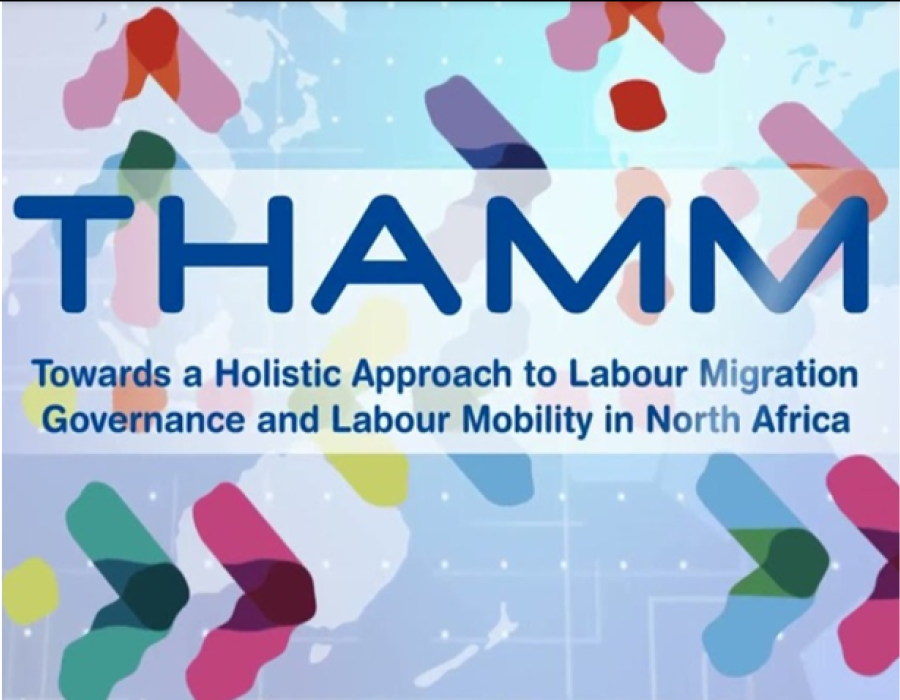 Progetto THAMM Plus - inserimento lavoratori stranieri