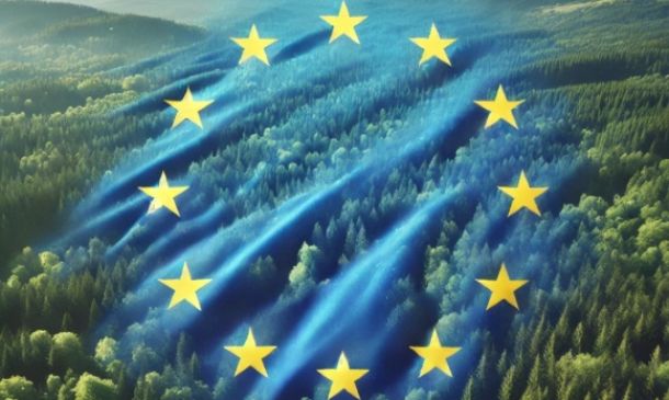 Deforestazione: voto finale sul rinvio e sulla modifica degli obblighi